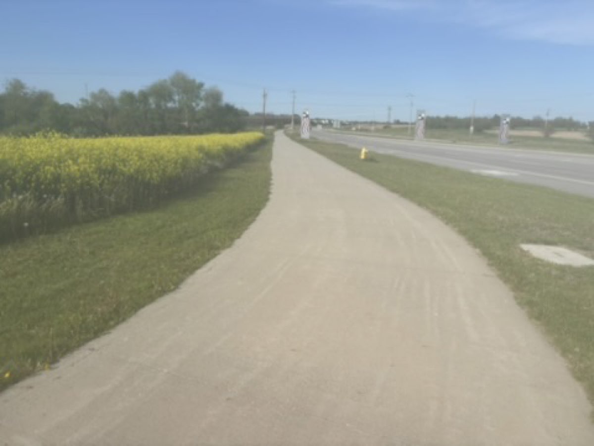 A gravel path winding through the Iowa countryside alongside yellow wildflowers