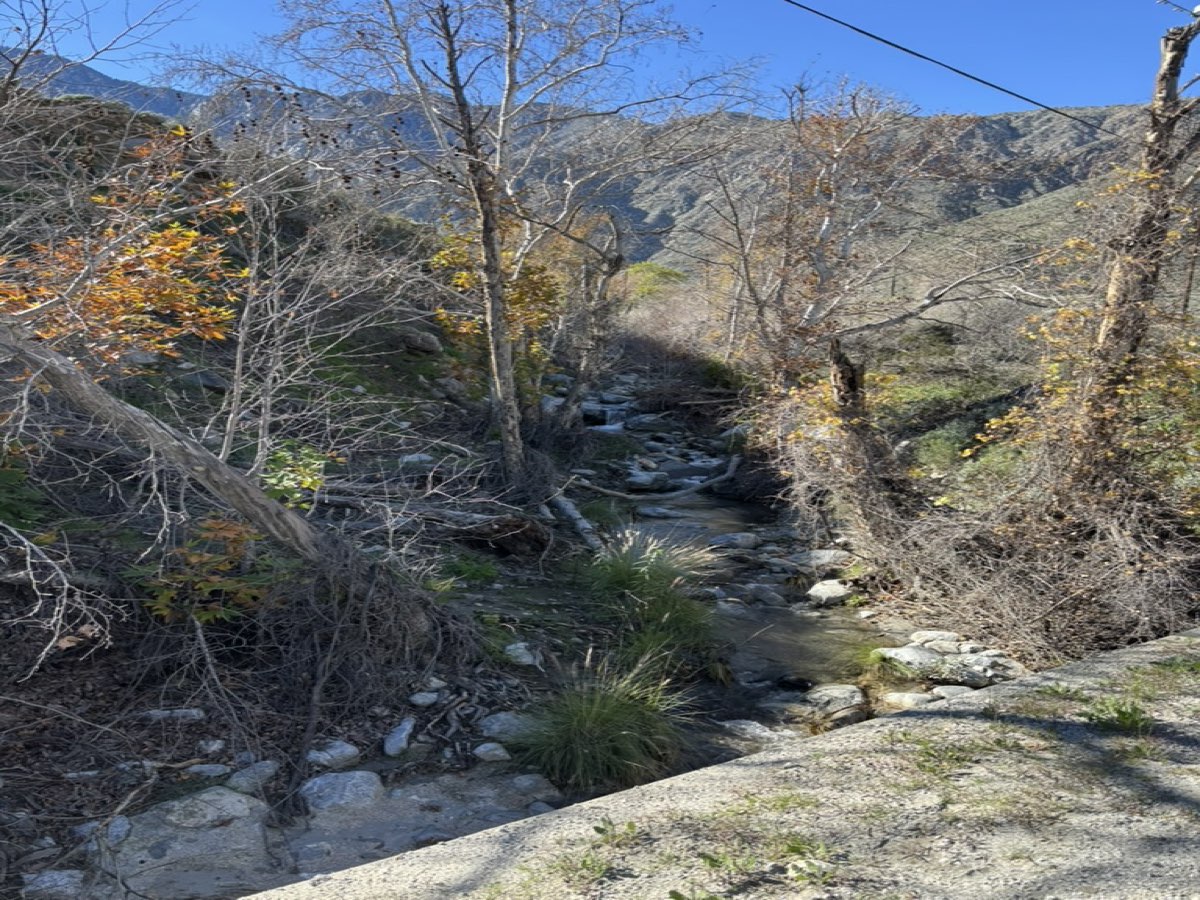 A mountain stream winding through a canyon with autumn-colored trees