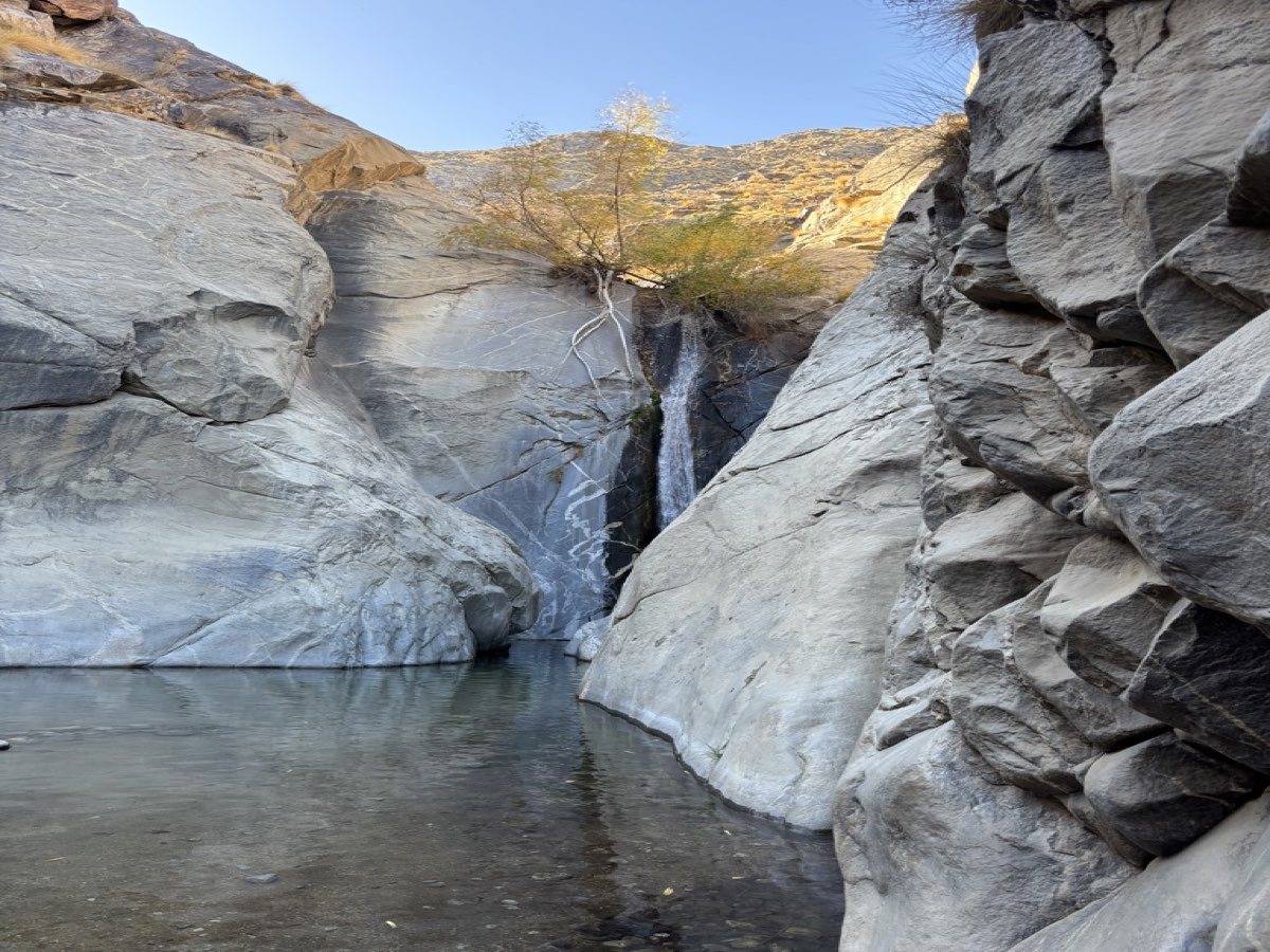 A narrow desert slot canyon with smooth white walls, still water at the base, and a tree catching light above